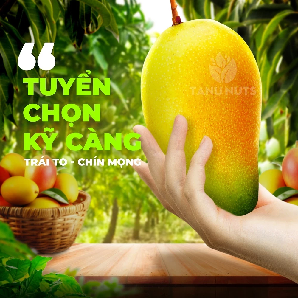Xoài sấy dẻo TANU NUTS tốt cho người ăn kiêng, bà bầu.