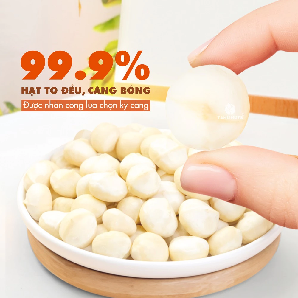 Nhân macca tách vỏ Tây Nguyên rang sấy TANU NUTS dinh dưỡng cho bà bầu, ăn kiêng, giảm cân