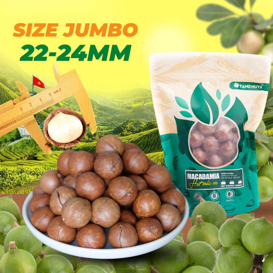 Hạt macca nứt vỏ Tây Nguyên đã rang sấy TANU NUTS dinh dưỡng cho bà bầu, ăn kiêng, giảm cân