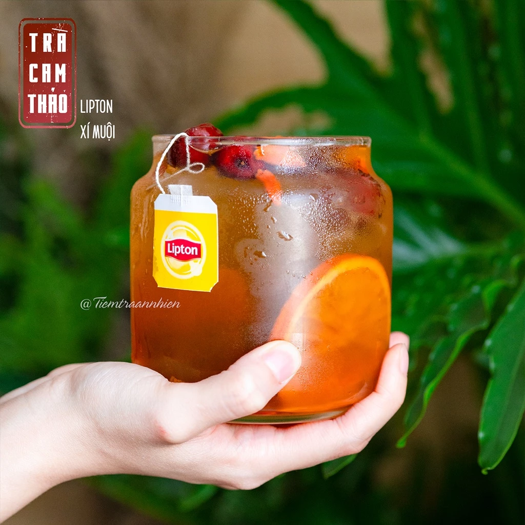 Trà Lipton xí muội thảo mộc An Nhiên giải khát, set trà pha sẵn kèm công thức
