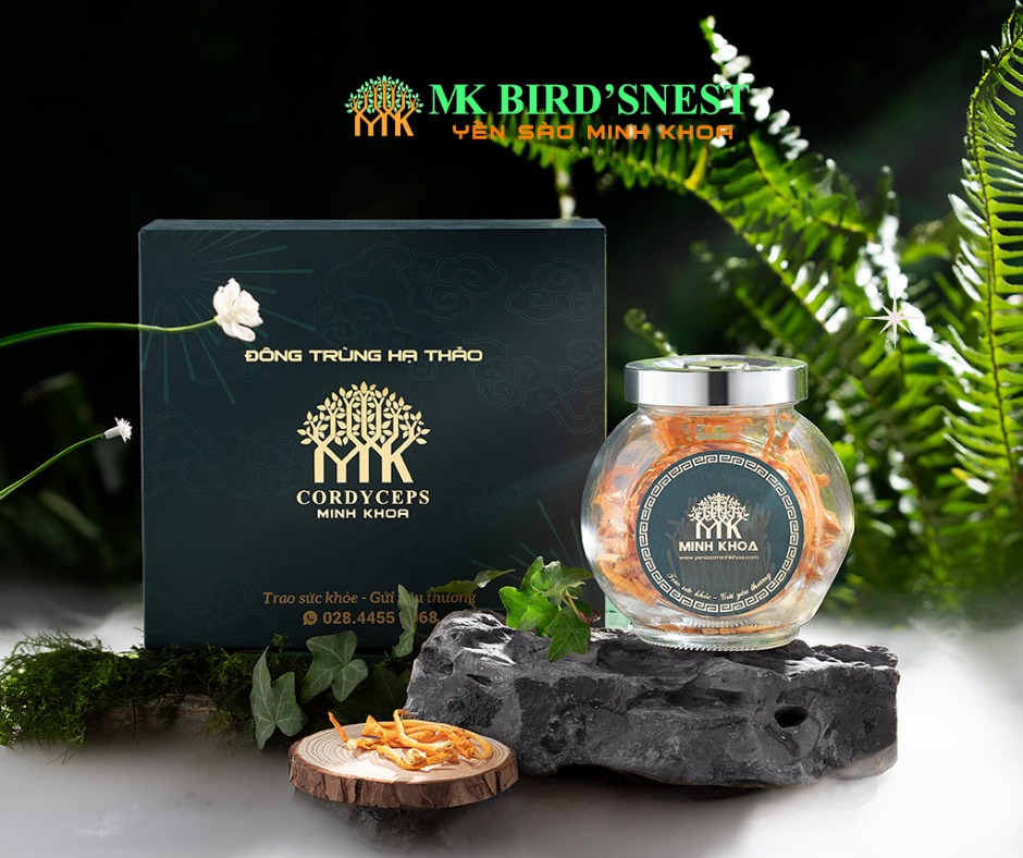 Hộp Đông Trùng Hạ Thảo Minh Khoa